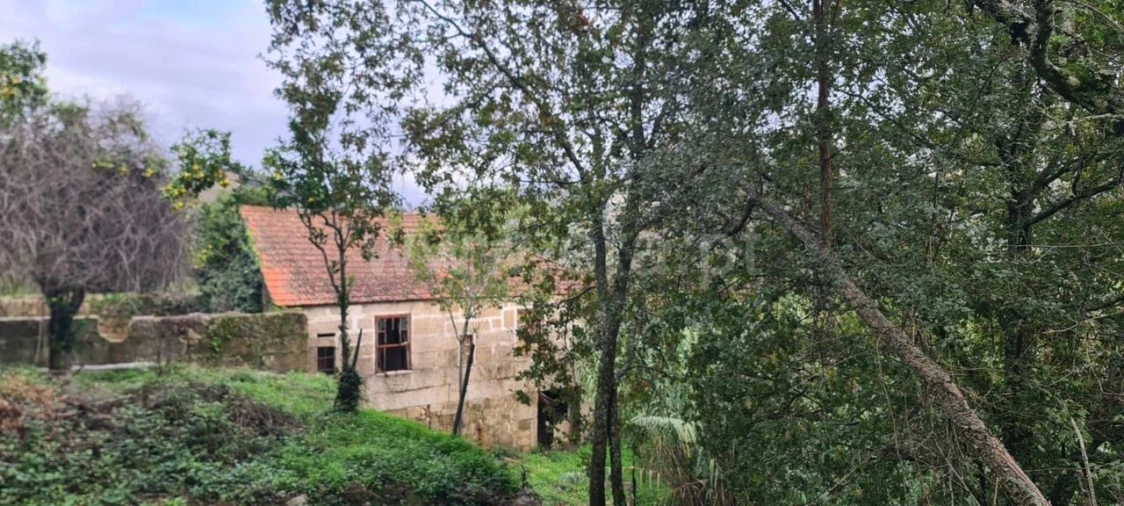 Quinta T0 para Venda em Santa Cruz do Douro e São Tomé de Covelas Foto 11