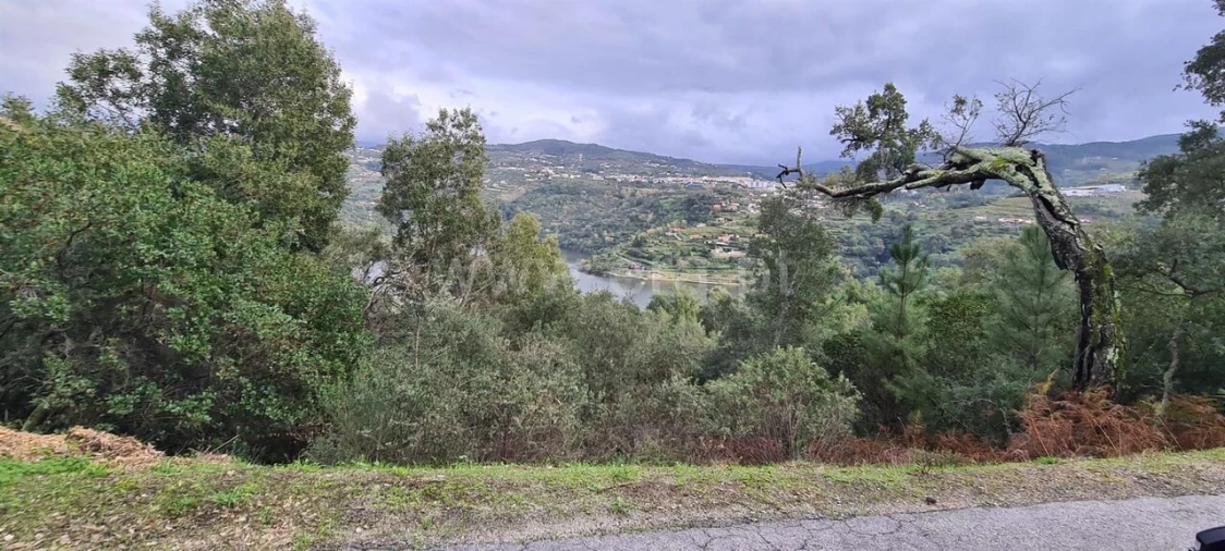 Quinta T0 para Venda em Santa Cruz do Douro e São Tomé de Covelas Foto 19