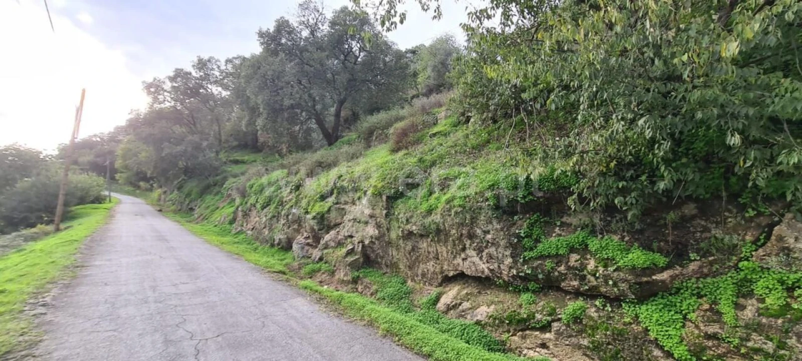 Quinta T0 para Venda em Santa Cruz do Douro e São Tomé de Covelas Foto 8