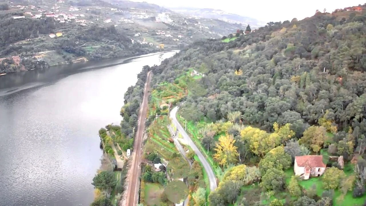 Quinta T0 para Venda em Santa Cruz do Douro e São Tomé de Covelas Foto 2