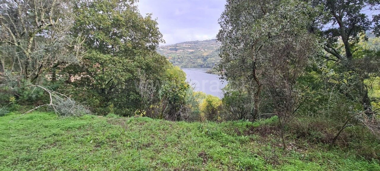 Quinta T0 para Venda em Santa Cruz do Douro e São Tomé de Covelas Foto 15