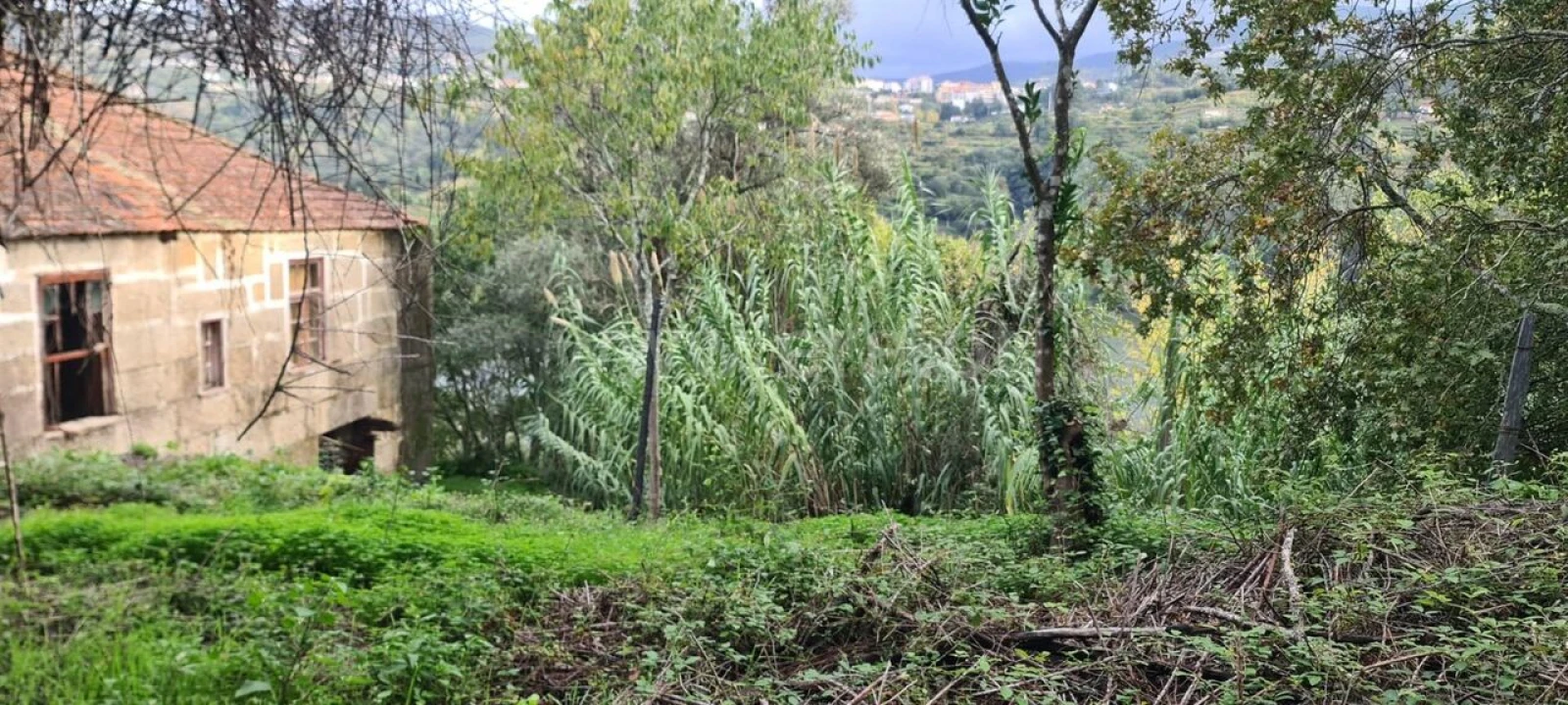 Quinta T0 para Venda em Santa Cruz do Douro e São Tomé de Covelas Foto 10