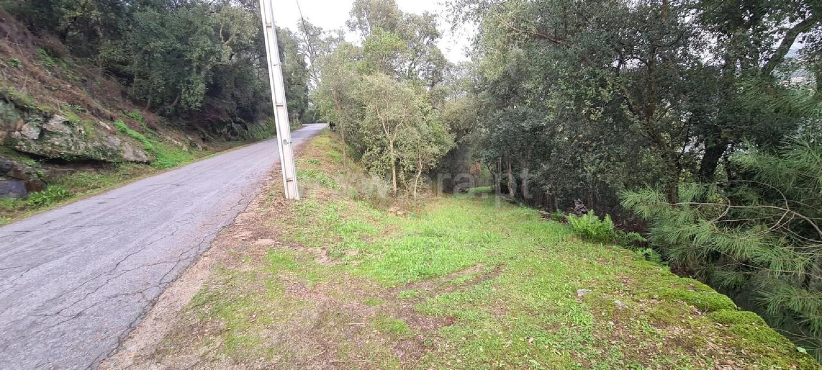 Quinta T0 para Venda em Santa Cruz do Douro e São Tomé de Covelas Foto 17