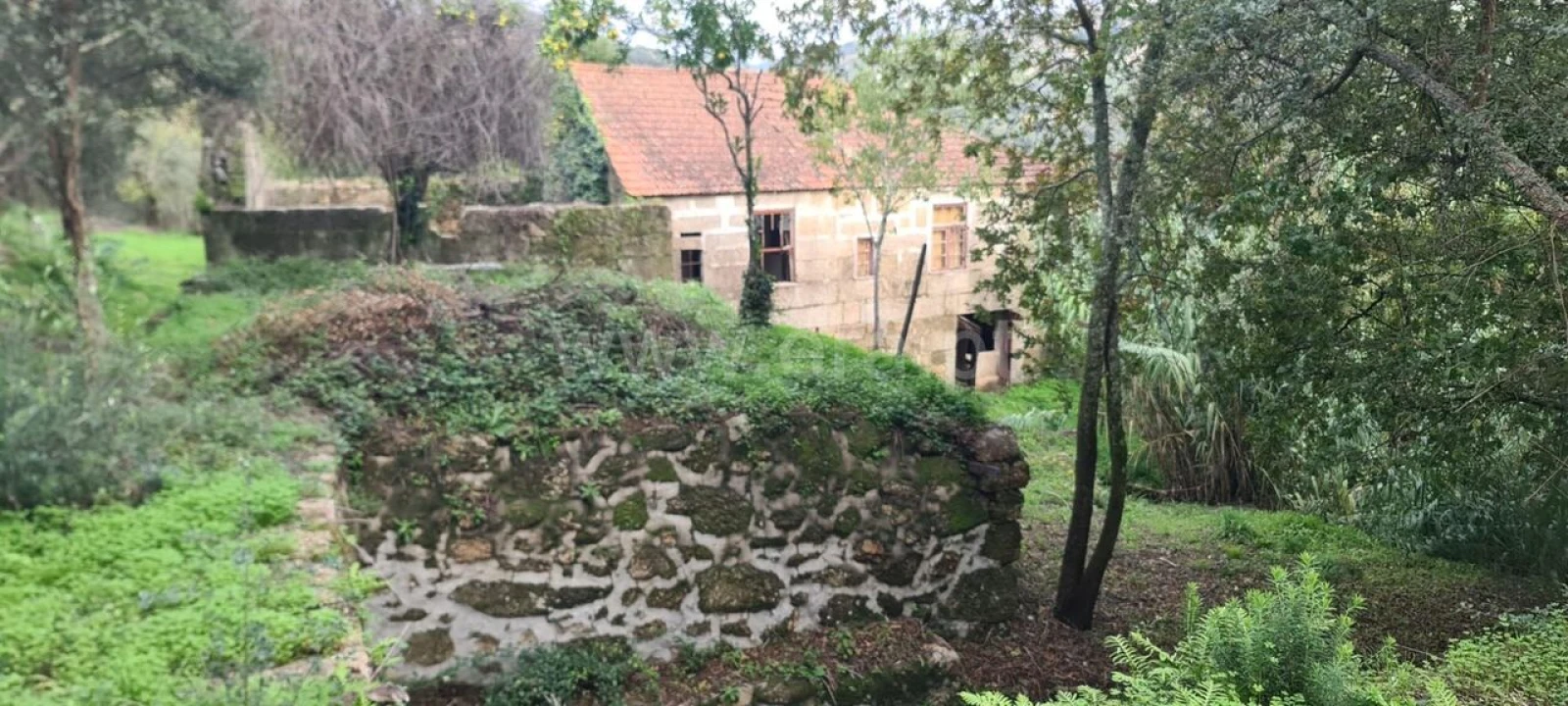 Quinta T0 para Venda em Santa Cruz do Douro e São Tomé de Covelas Foto 13