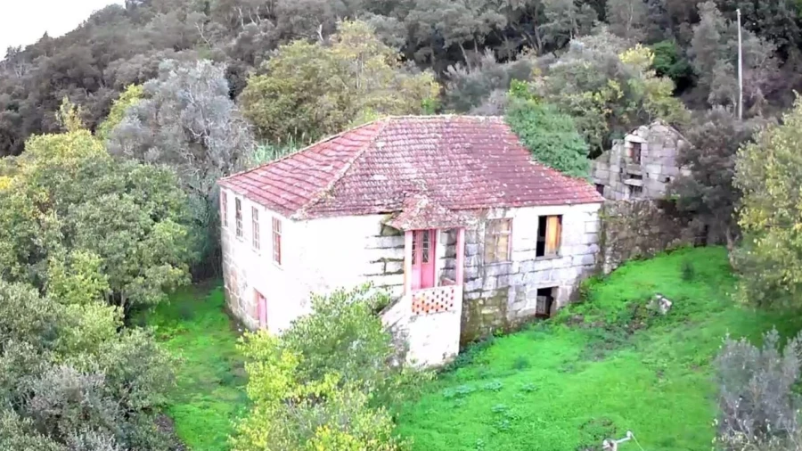 Quinta T0 para Venda em Santa Cruz do Douro e São Tomé de Covelas