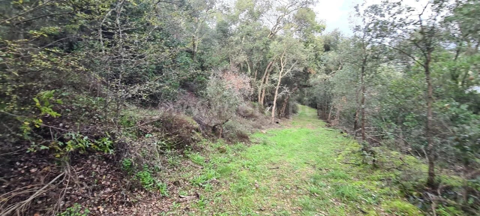 Quinta T0 para Venda em Santa Cruz do Douro e São Tomé de Covelas Foto 16
