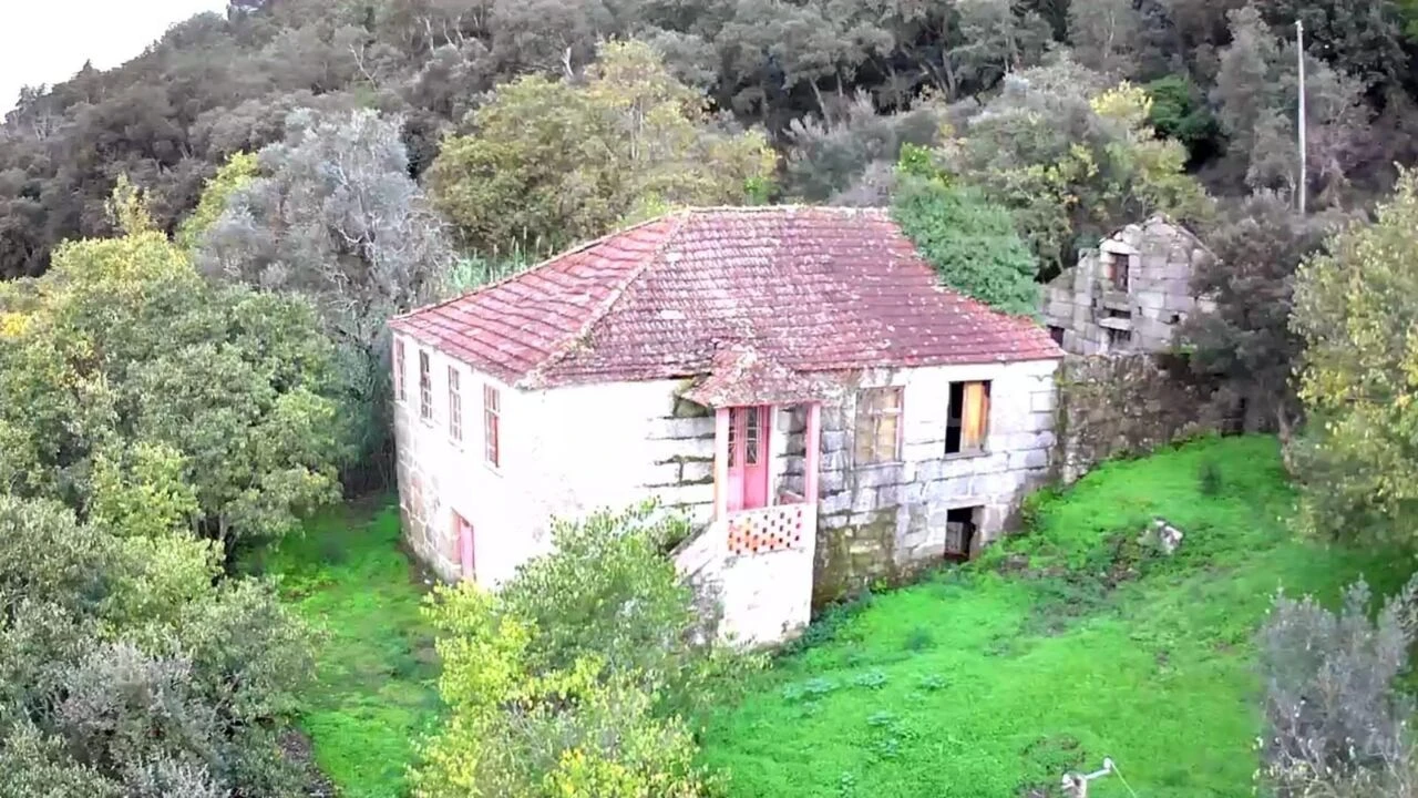 Quinta T0 para Venda em Santa Cruz do Douro e São Tomé de Covelas Foto 1