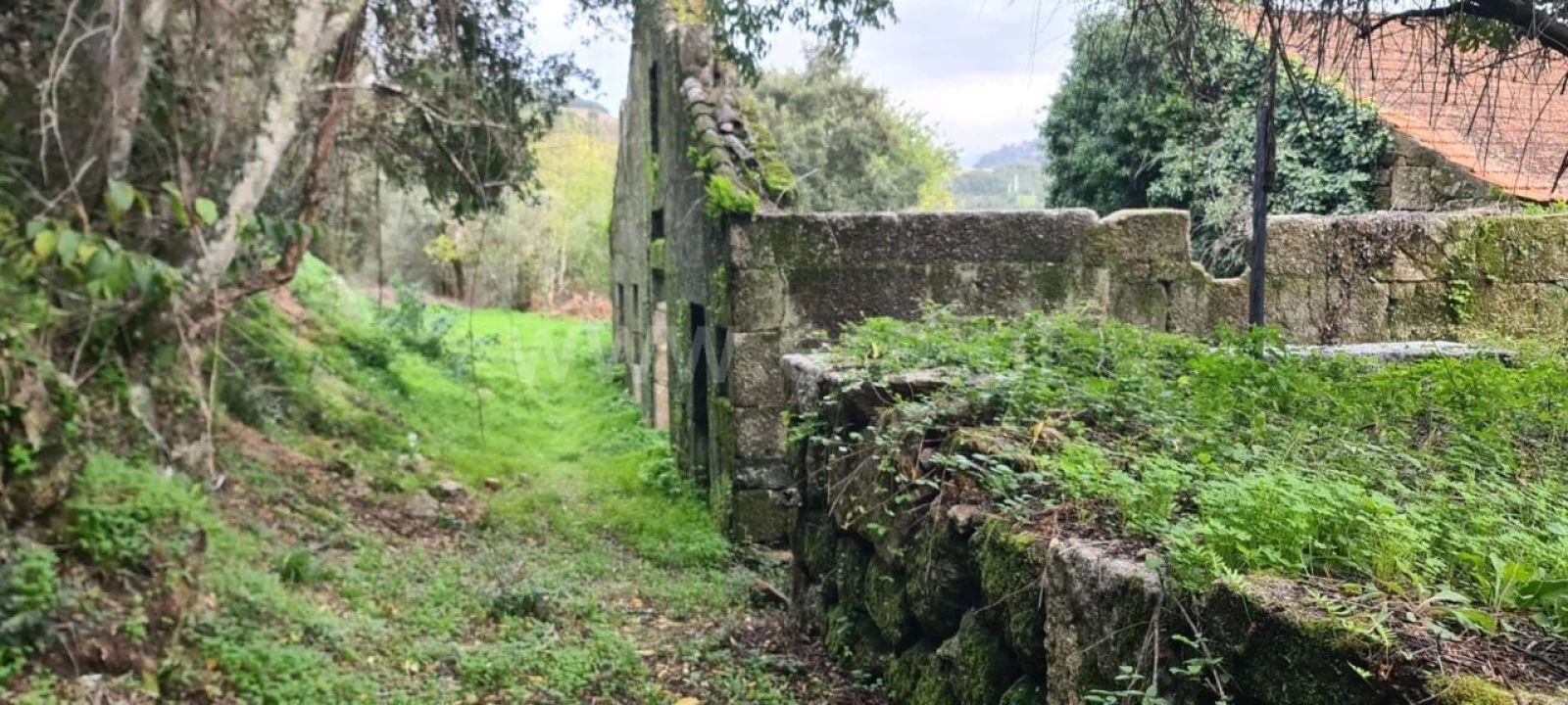 Quinta T0 para Venda em Santa Cruz do Douro e São Tomé de Covelas Foto 9