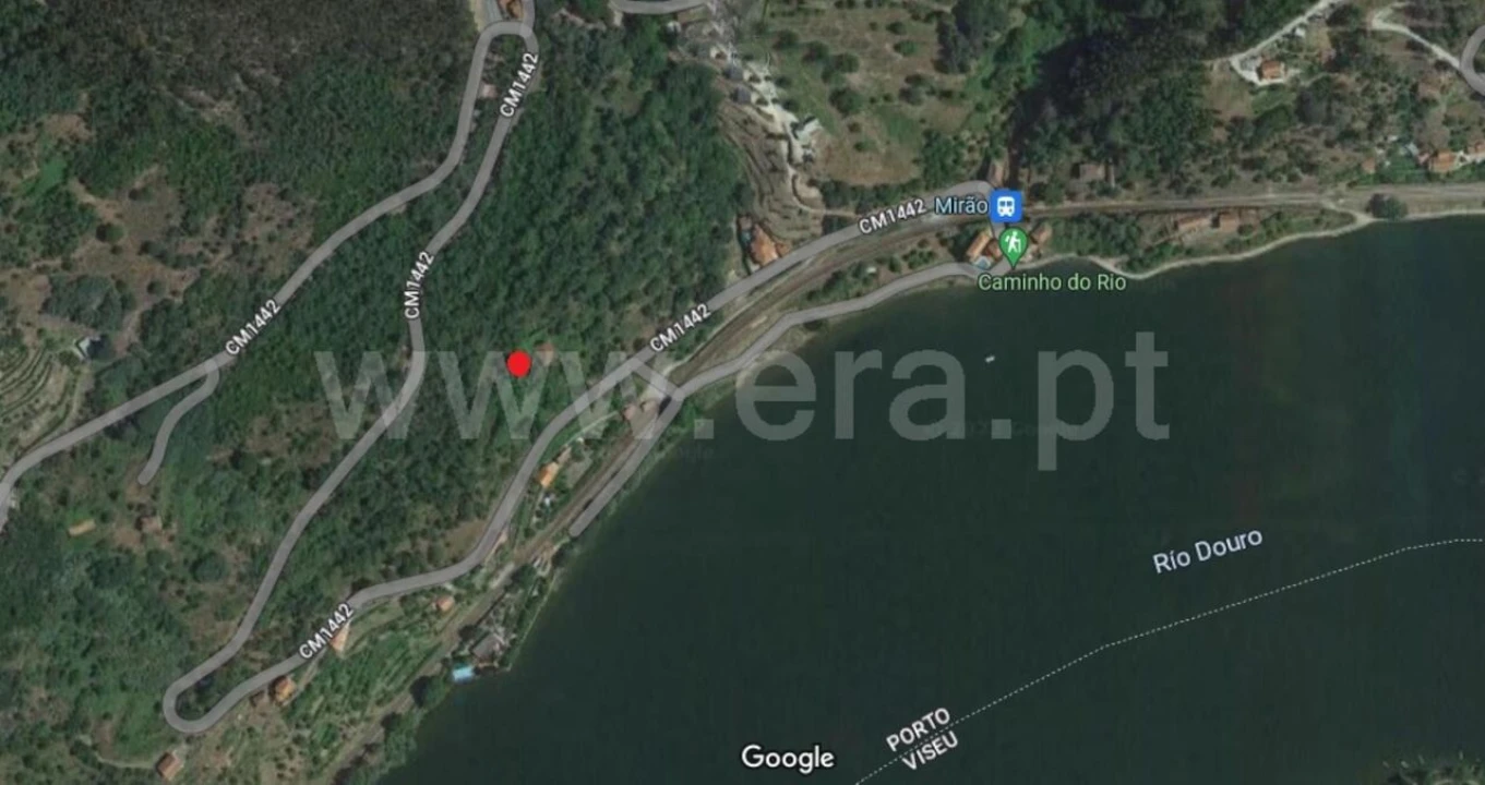 Quinta T0 para Venda em Santa Cruz do Douro e São Tomé de Covelas Foto 3