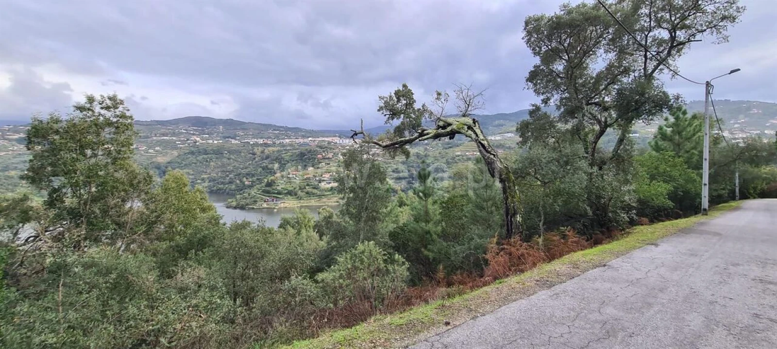 Quinta T0 para Venda em Santa Cruz do Douro e São Tomé de Covelas Foto 18