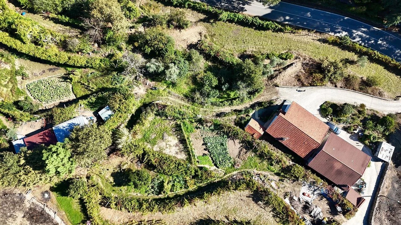Moradia T3 para Venda em Baião (Santa Leocádia) e Mesquinhata Foto 3