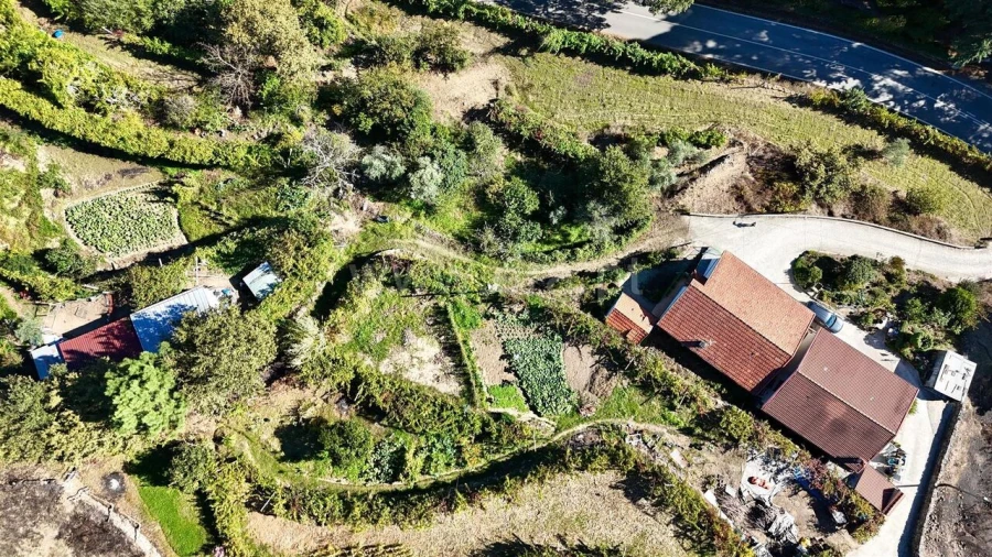 Moradia T3 para Venda em Baião (Santa Leocádia) e Mesquinhata Foto 3