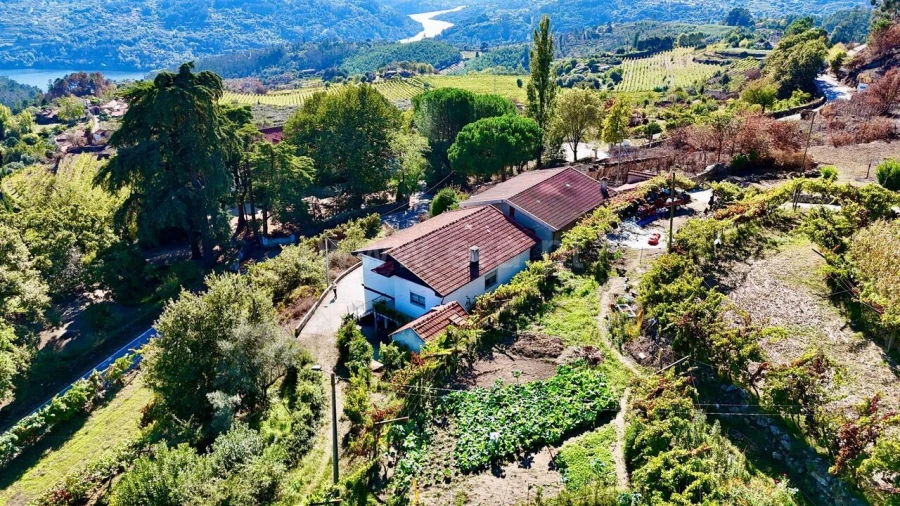 Moradia T3 para Venda em Baião (Santa Leocádia) e Mesquinhata Foto 5