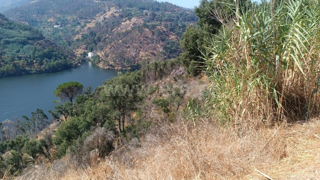 Terreno para Venda em Ancede e Ribadouro Foto 10