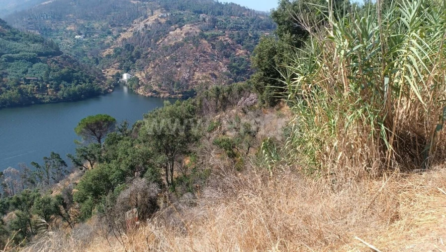 Terreno para Venda em Ancede e Ribadouro Foto 10