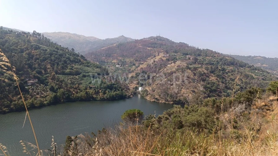 Terreno para Venda em Ancede e Ribadouro Foto 8