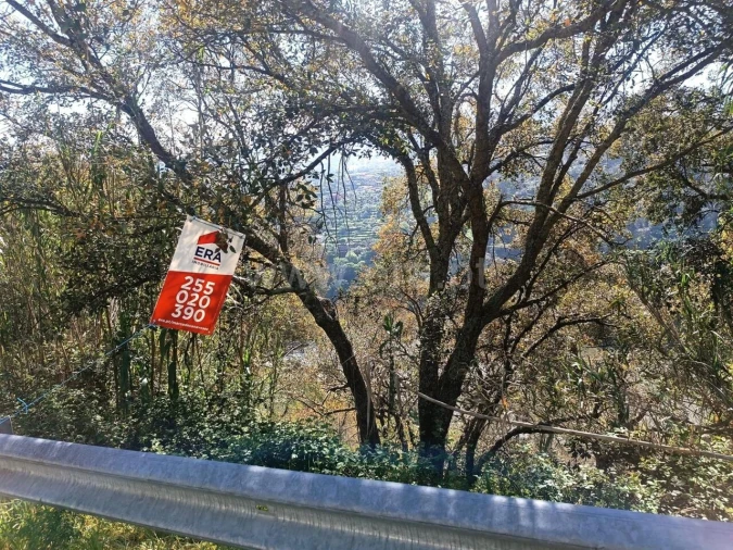 Terreno para Venda em Ancede e Ribadouro Foto 3