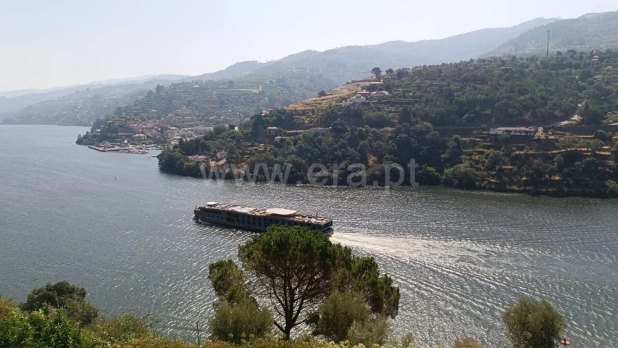 Terreno para Venda em Ancede e Ribadouro