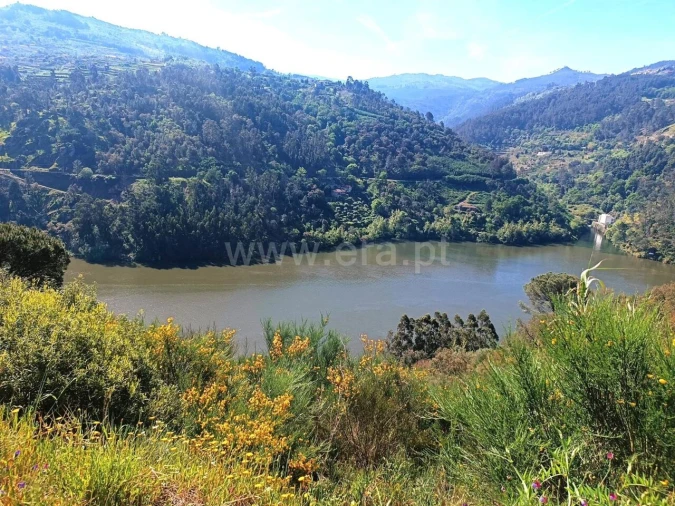 Terreno para Venda em Ancede e Ribadouro Foto 2