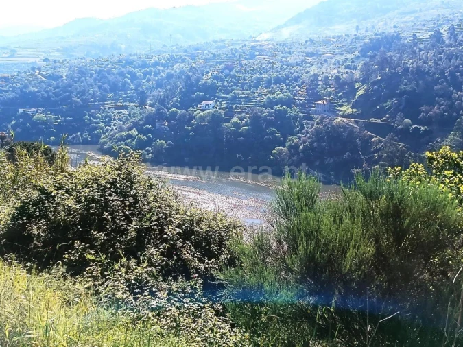 Terreno para Venda em Ancede e Ribadouro Foto 7