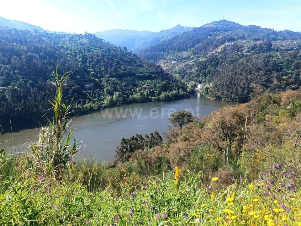 Terreno para Venda em Ancede e Ribadouro Foto 4