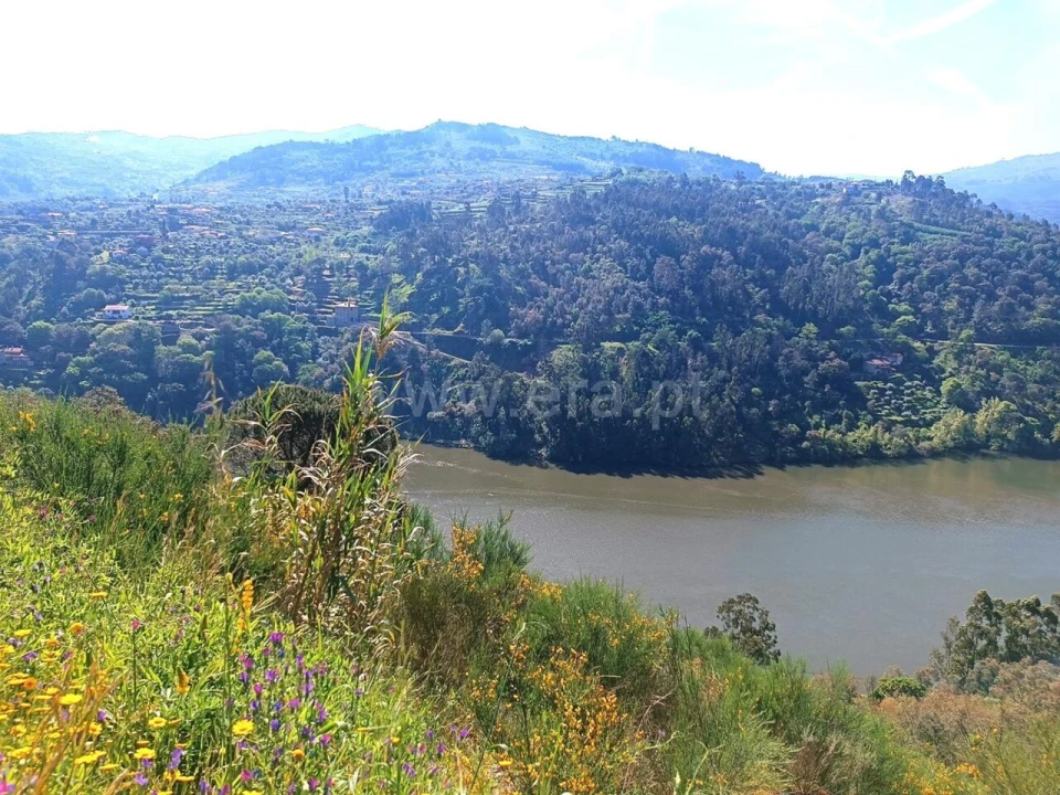 Terreno para Venda em Ancede e Ribadouro Foto 6