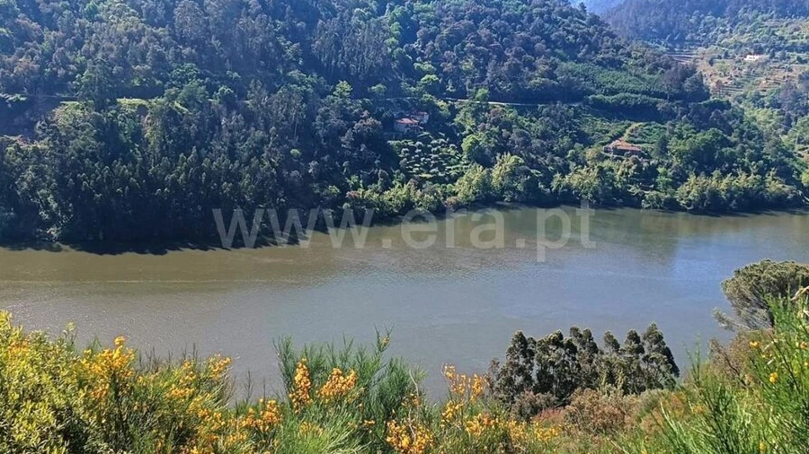 Terreno para Venda em Ancede e Ribadouro