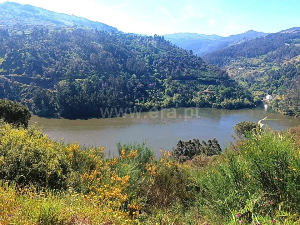 Terreno para Venda em Ancede e Ribadouro Foto 2