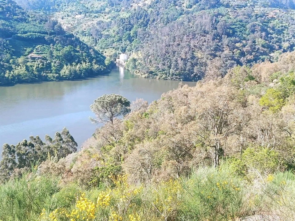 Terreno para Venda em Ancede e Ribadouro Foto 5