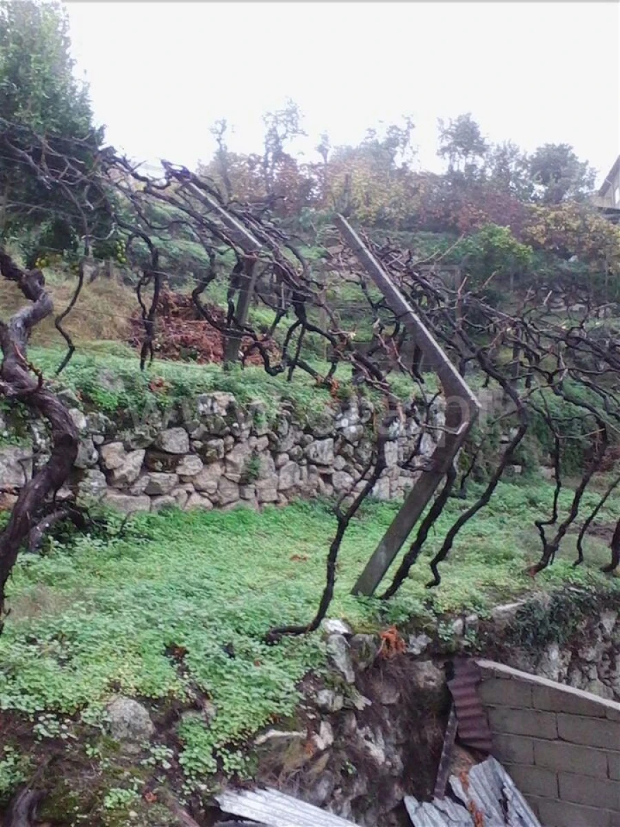 Terreno para Venda em Baião (Santa Leocádia) e Mesquinhata Foto 6