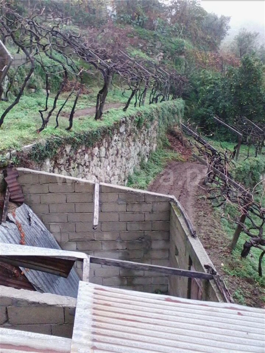 Terreno para Venda em Baião (Santa Leocádia) e Mesquinhata Foto 5