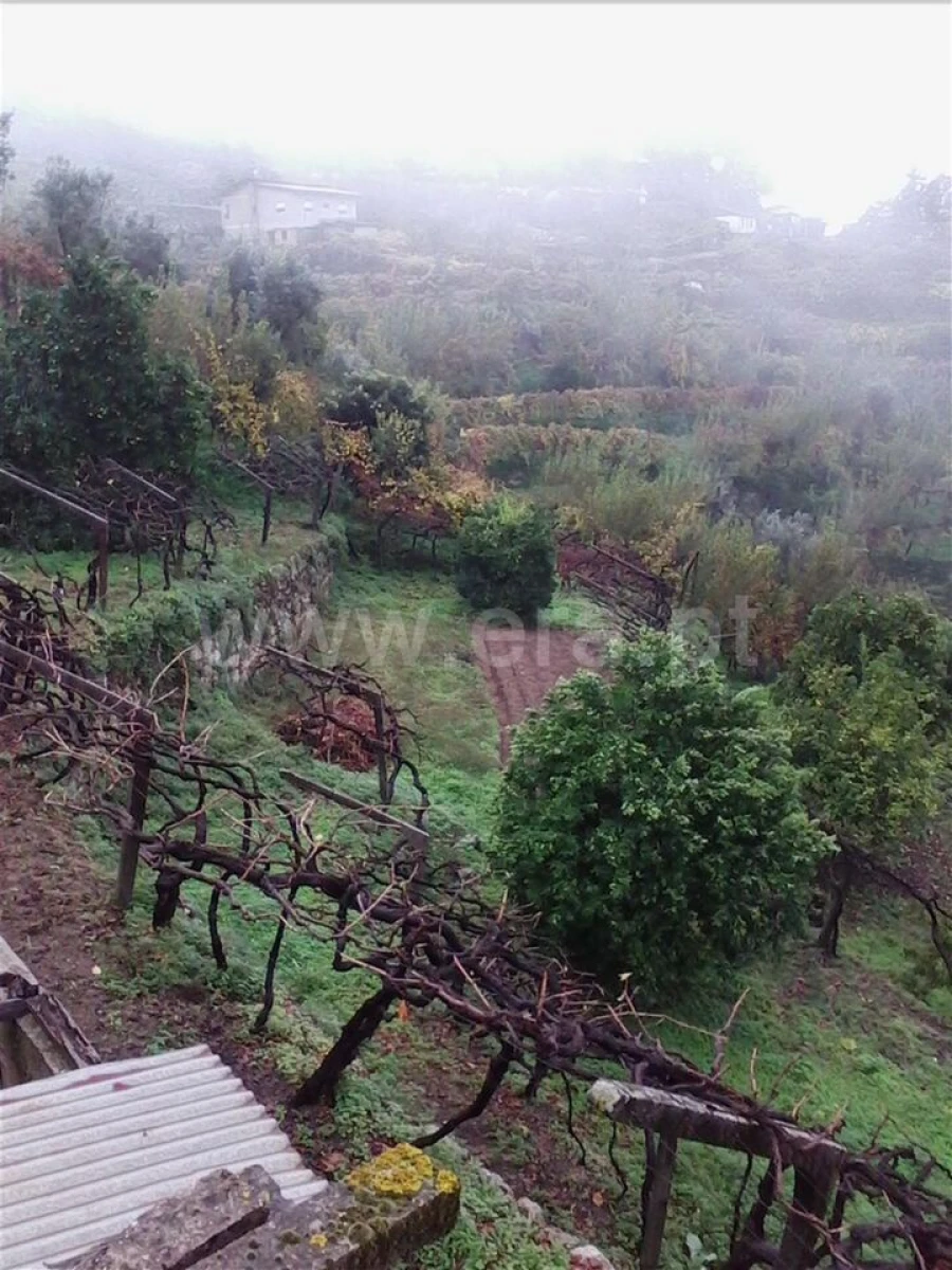 Terreno para Venda em Baião (Santa Leocádia) e Mesquinhata Foto 4