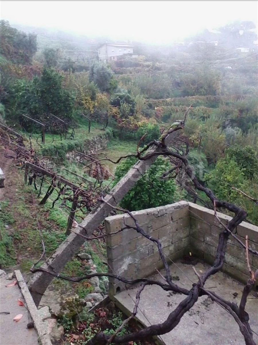 Terreno para Venda em Baião (Santa Leocádia) e Mesquinhata Foto 3