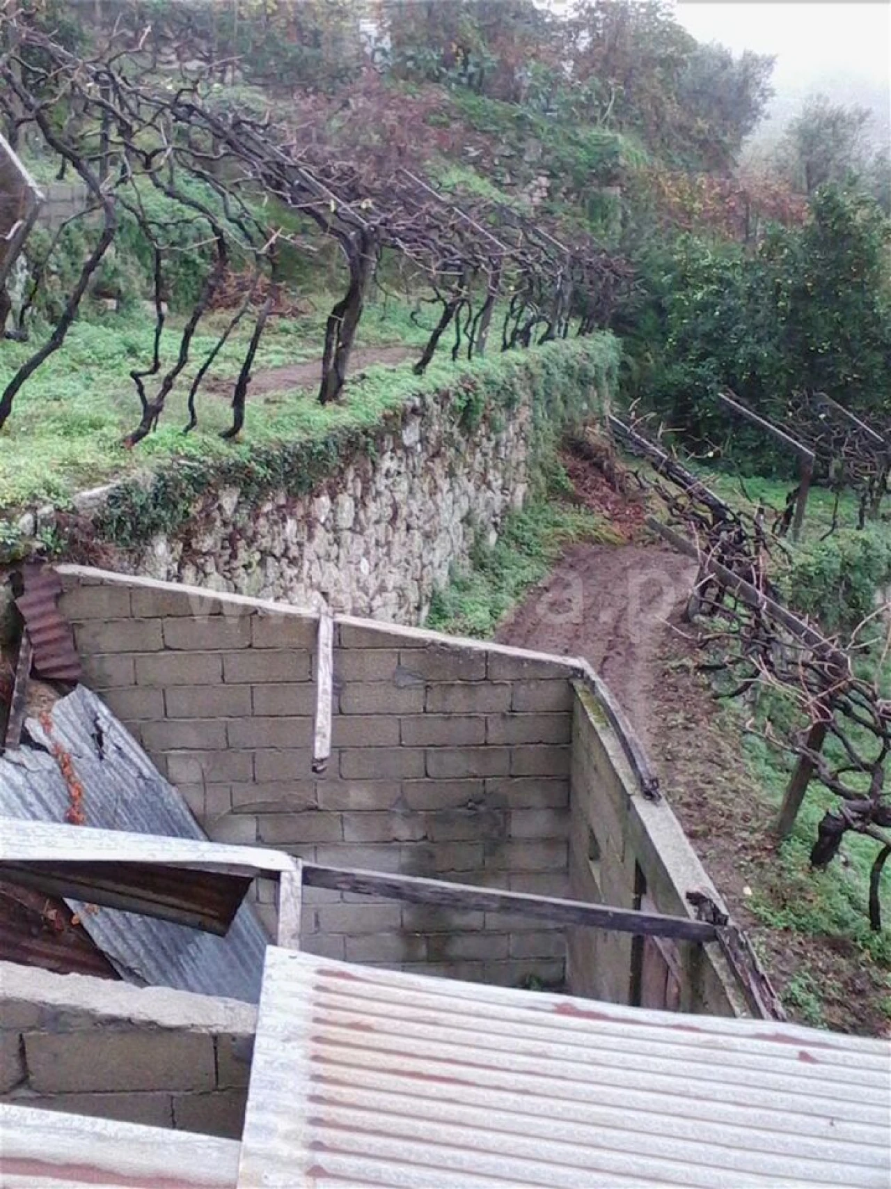 Terreno para Venda em Baião (Santa Leocádia) e Mesquinhata Foto 5