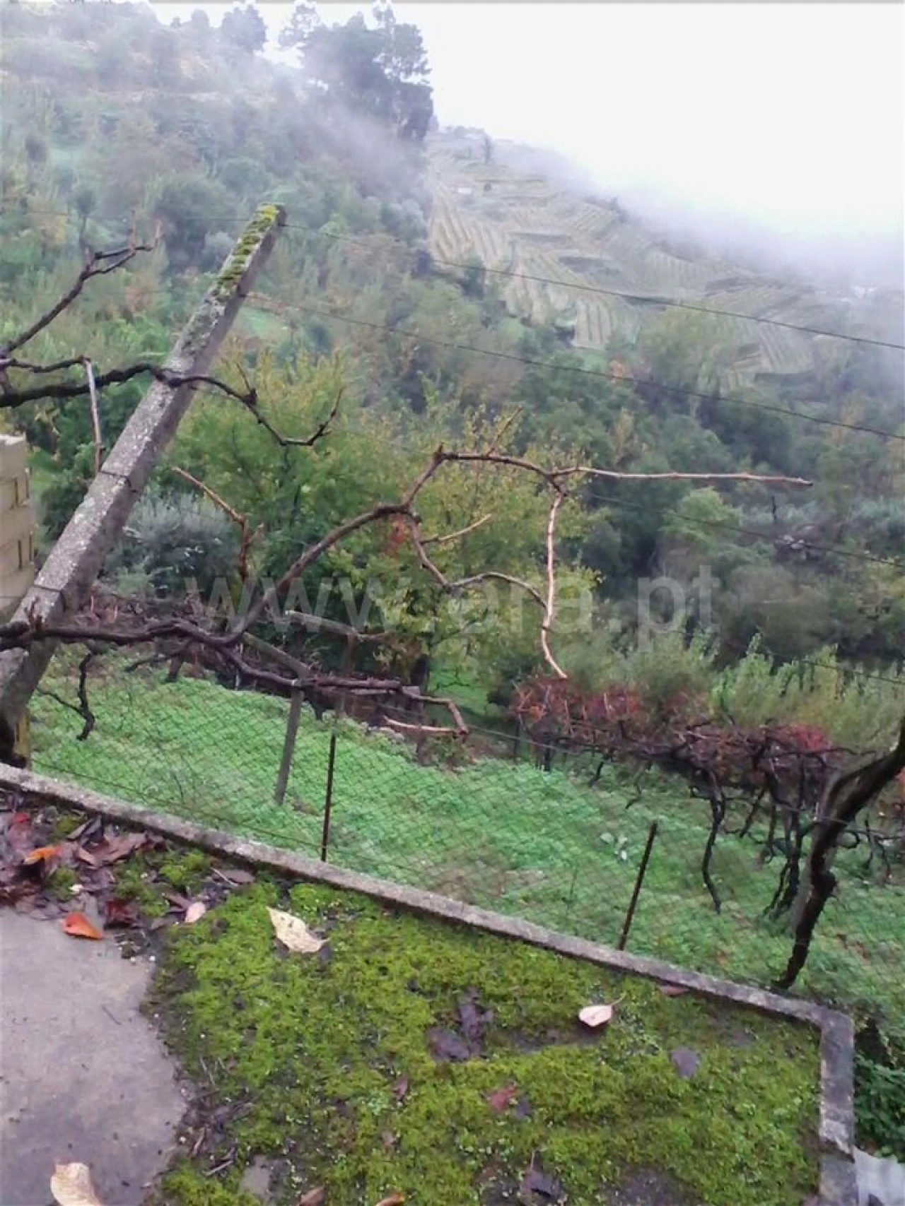 Terreno para Venda em Baião (Santa Leocádia) e Mesquinhata Foto 2