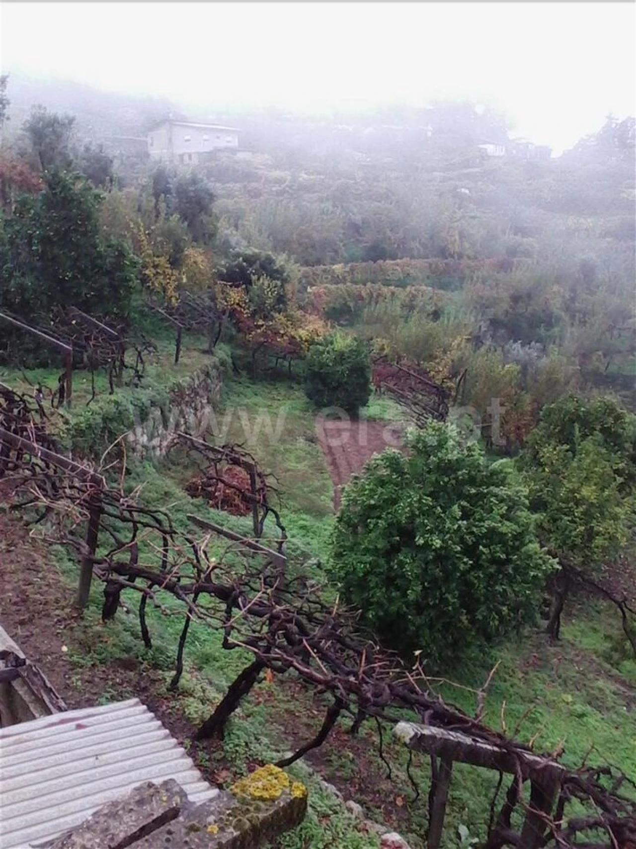 Terreno para Venda em Baião (Santa Leocádia) e Mesquinhata Foto 4