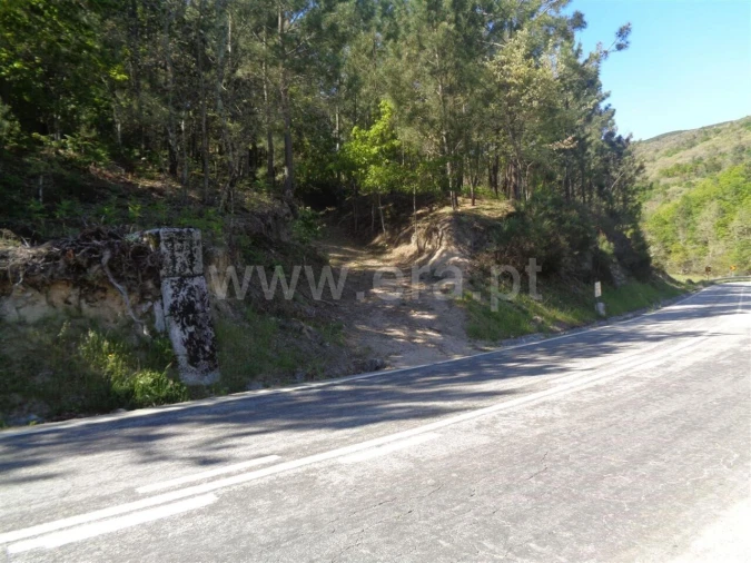 Terreno para Venda em Campelo e Ovil Foto 5