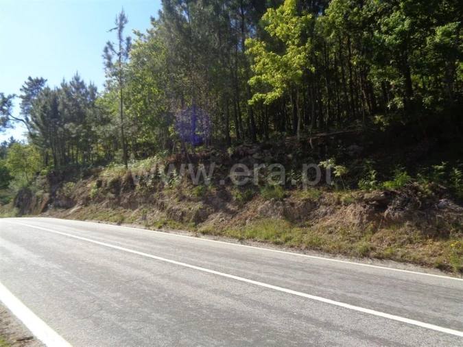 Terreno para Venda em Campelo e Ovil