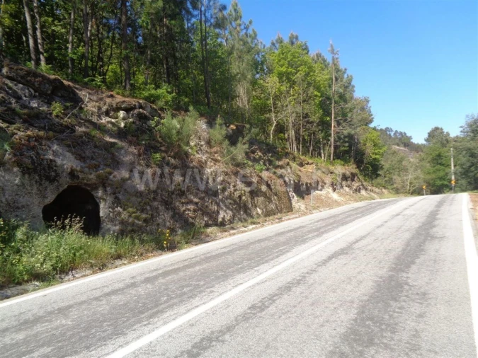 Terreno para Venda em Campelo e Ovil Foto 4