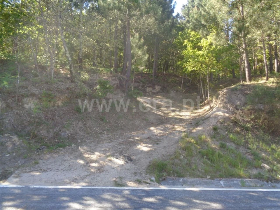 Terreno para Venda em Campelo e Ovil Foto 6