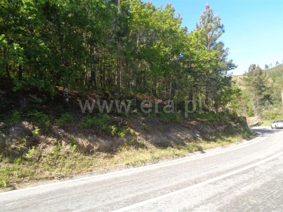 Terreno para Venda em Campelo e Ovil Foto 8