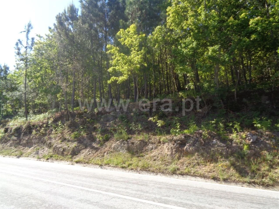 Terreno para Venda em Campelo e Ovil Foto 7