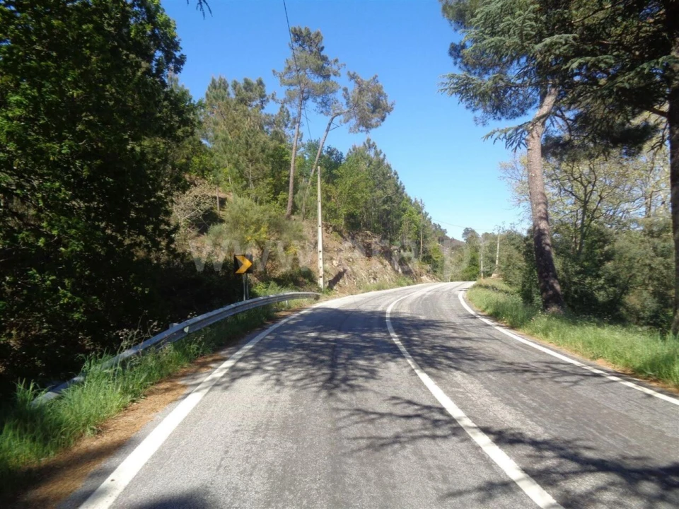 Terreno para Venda em Campelo e Ovil Foto 3
