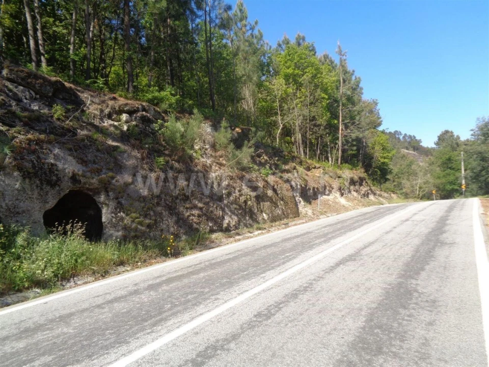 Terreno para Venda em Campelo e Ovil Foto 4