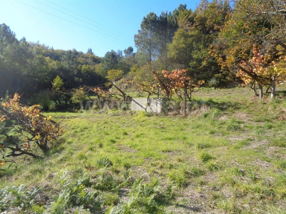 Terreno para Venda em Campelo e Ovil Foto 2