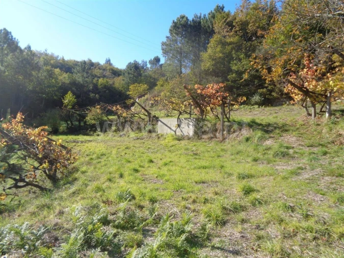 Terreno para Venda em Campelo e Ovil Foto 2