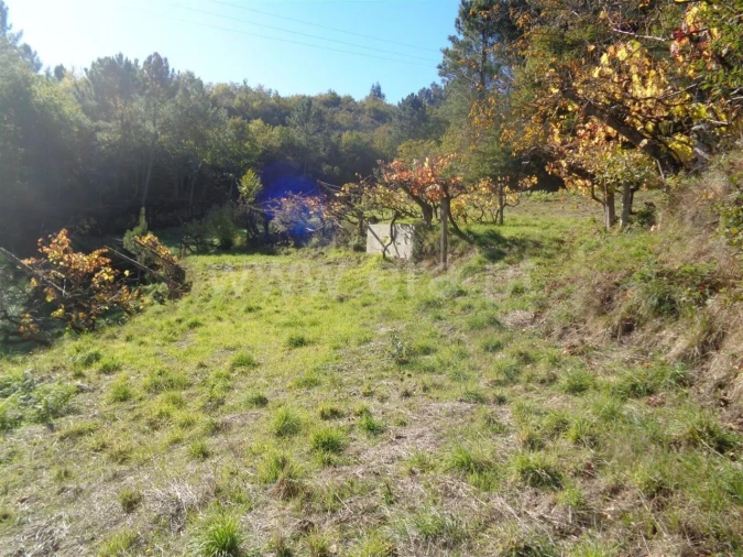 Terreno para Venda em Campelo e Ovil Foto 3