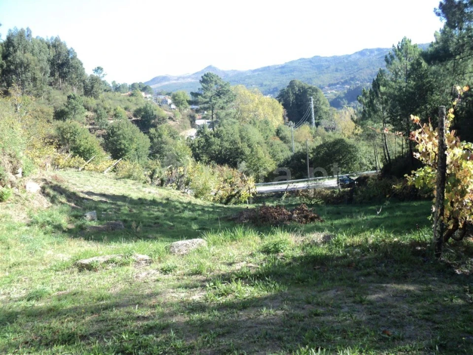 Terreno para Venda em Campelo e Ovil Foto 9