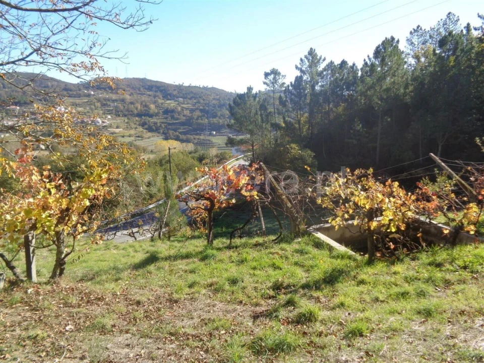 Terreno para Venda em Campelo e Ovil Foto 4