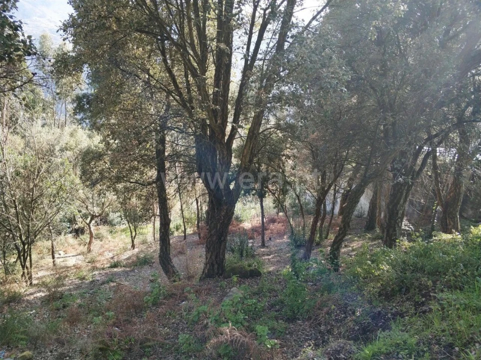 Terreno para Venda em Ancede e Ribadouro Foto 2